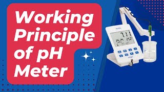 Working Principle of pH Meter  Types of pH Meter  pH Electrode Working [upl. by Ripleigh]