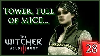 The Witcher 3  Part 13 Magic Lamp  Fyke Isle  Towerful of Mice [upl. by Isteb]