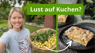 Ich ernte Mirabellen im Garten und backe eine fruchtige Tarte  Mirabellenkuchen mit Streuseln [upl. by Christina]