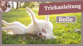 Wie Du Deinem Hund ROLLE beibringst  Trickdogging  Hundetricks [upl. by Nive]