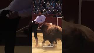 REVERSO A UN TORO EN VALENCIA torosbravos recortes españa [upl. by Llovera241]