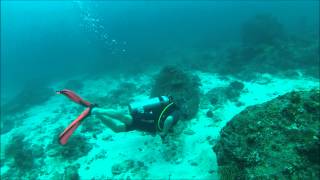 Diving Seychelles GoPro [upl. by Kcirdaed]