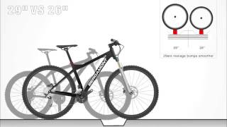 26quot Mountain Bike VS 29er Mountain Bike [upl. by Red261]