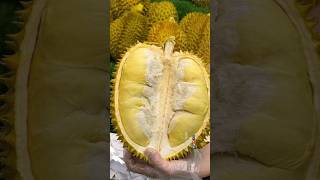 Amazing durian fruit Durian fruit export 榴莲出口 ทุเรียน durian 榴莲 [upl. by Morra]