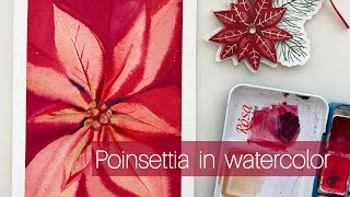 Poinsettia in Watercolor Nochebuena en Acuarela [upl. by Stark]