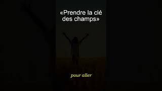 « Prendre la clé des champs » → Séchapper pour un grand bol dair frais  expression français [upl. by Elawalo904]