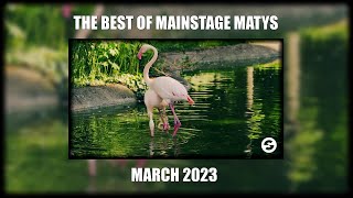 🦩🦩🦩The Best Of Mainstage Matys  March 2023🦩🦩🦩 [upl. by Nnyletak85]