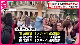 【フランス国民議会選挙】極右政党「国民連合」第3勢力の見通し [upl. by Dnalyag]