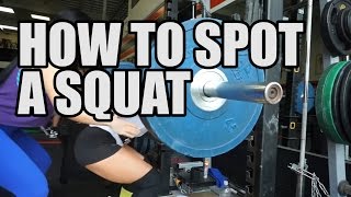 HOW TO SPOT A SQUAT [upl. by Mia]