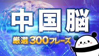 【中国語聞き流し】中国語脳になる厳選300フレーズ（HSK3級レベル） [upl. by Pepita]