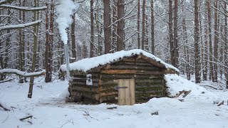 Dugout shelter 3 months of building in the forest start to finish no talking ASMR [upl. by Namharludba]