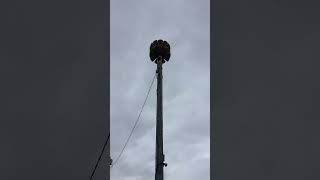 Tornado siren test  cloquet skate park Federal signal 3T22A Minnesota ATTACK 2 minutes [upl. by Terryl718]