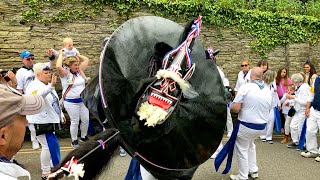 Padstow May Day 2022 and the Blue Ribbon Obby Oss [upl. by Asenav]