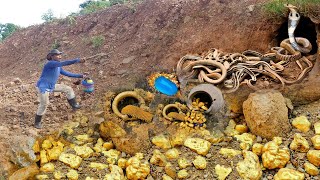 Digging up for Treasure worth millions dollar from Huge Nuggets of Gold Meet Python Snake [upl. by Irahs19]