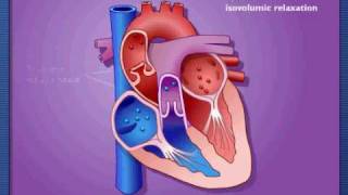 Cardiac Cycle  Systole amp Diastole [upl. by Eiznikcm]