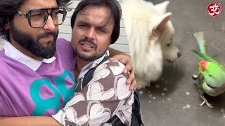 Aisi Ladai Kabhi Nahi Dekhi  Nitin Watts Vlogs [upl. by Adnot]