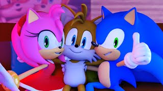 SONIC THE HEDGEHOG SEASON THREE COMPILATION  Sonic Animation [upl. by Hulbert640]