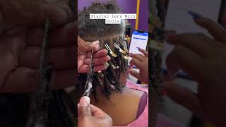 Starter Locs with coils locs explore exploremore hair coils naturalhair starterlocs dreads [upl. by Ynattyrb]