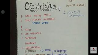 CLOSTRIDIUM  GENERAL FEATURE  MICROBIOLOGY CLASSIFICATION gram positive bacilli part 1 8point [upl. by Leese]