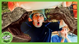 Raptor Scare  Swimming Pool Fight  🦖🦕 TRex Ranch Dinosaur Videos [upl. by Ennaer]