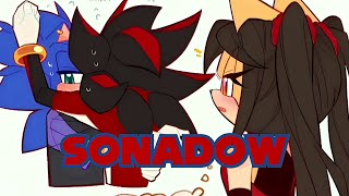 Mall Body Guard 💙Sonadow❤️️ Comic Dub 𝑿𝒂𝒎𝒎𝒚𝑶𝒐𝒘𝒂𝒉 [upl. by Goodard]