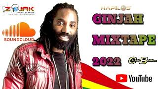 Ginjah Mixtape 2022  Ginjah Reggae Mix 2022 [upl. by Bloxberg]