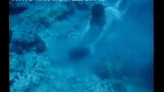 The roots of freediving filmed in 1964 by Bengt Borjeson [upl. by Eninaj]