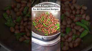 పల్లి కొబ్బరి చట్నీSPICY ANDHRA CHUTNEY breakfast SNACKS chutneys summervibes [upl. by Chung]