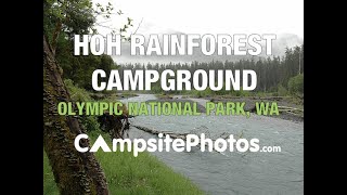 Hoh Rainforest Campround Olympic National Park Washington Campsite Photos [upl. by Akirrehs]