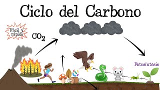 ♻️ Ciclo del Carbono ⚫️ Fácil y Rápido  BIOLOGÍA [upl. by Aerdno420]