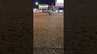 Bronc Ride 2 at the Preston Rodeo [upl. by Anay]