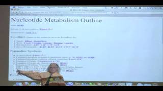 Kevin Aherns BiteSized Biochemistry 39  Nucleotide Metabolism I [upl. by Vincentia94]