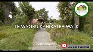 4K New Zealand  Te Waoku Kahikatea Walk [upl. by Aneleasor]