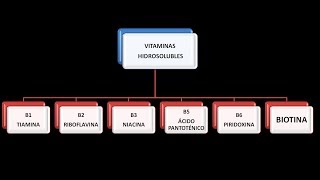 Vitaminas hidrosolubles Biotina [upl. by Erund]