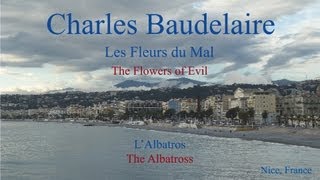 French Poem  LAlbatros by Charles Baudelaire [upl. by Yendis]