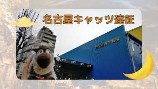 オタク、にゃごやへゆく！劇団四季キャッツと名古屋をたのしむ旅 [upl. by Etnauq]