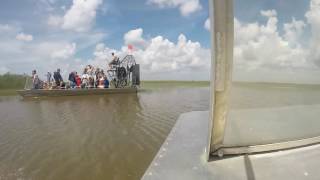 Everglades airboat tour [upl. by Ecinna903]