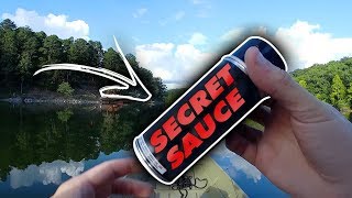 Bass fishing with BANG GARLIC SPRAY  IT WORKED BASS FISHING SPRAY [upl. by Eillak]