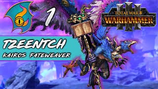 ORACLES OF TZEENTCH  Total War Warhammer 3  Part 1 [upl. by Nylednarb148]