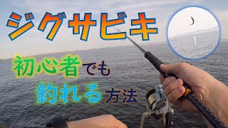 【ジグサビキ】やり方解説。初心者の方必見です‼釣り方動画です。 [upl. by Nomit640]