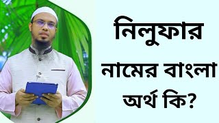 নিলুফার নামের অর্থ কি  Nilufar namer ortho ki  Nilufar name meaning in Bangla [upl. by Ardnaid]