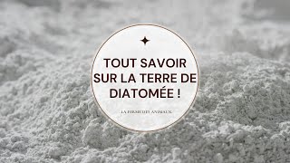 Terre de diatomée  tout savoir sur cette poudre grise [upl. by Alyhc]