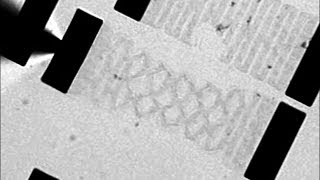 Inspired by paper cutting graphene sheets stretch twist and bend  Science News [upl. by Neleb]