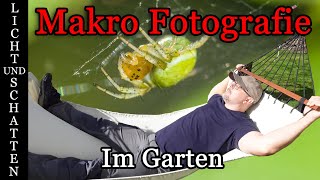 Makro Fotografie im Garten mit Godox MF12 Blitz und selbstgebautem Diffusor [upl. by Buehler599]