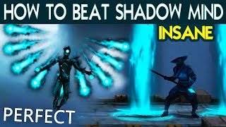 Shadow Fight 3 Defeat Shadow Mind with PERFECT on INSANE Tactics and Best Shadow Abilities [upl. by Ginsburg411]