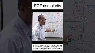 ECF osmolarity shortvideo shorts drnajeeb drnajeeblectures [upl. by Yekcaj]