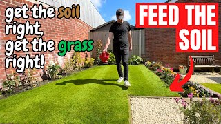 WHY and WHEN should you FEED a newly turfed LAWN [upl. by Leupold715]