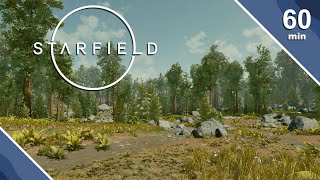 Starfield Jemison Planet Coniferous Forest  4K [upl. by Nofets]