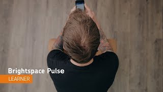 Brightspace Pulse  Navigation  Learner [upl. by Wolk]