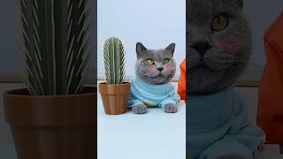 😄Solve Your Tooth Trouble With A Cool Cactus🌵🦷 funnycat lifehacks catmemes trending [upl. by Atneuqal]